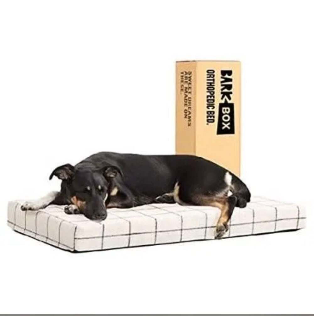 BARK Cooling Gel Memory Foam Platform Dog Bed, Size Medium, White Windowpane